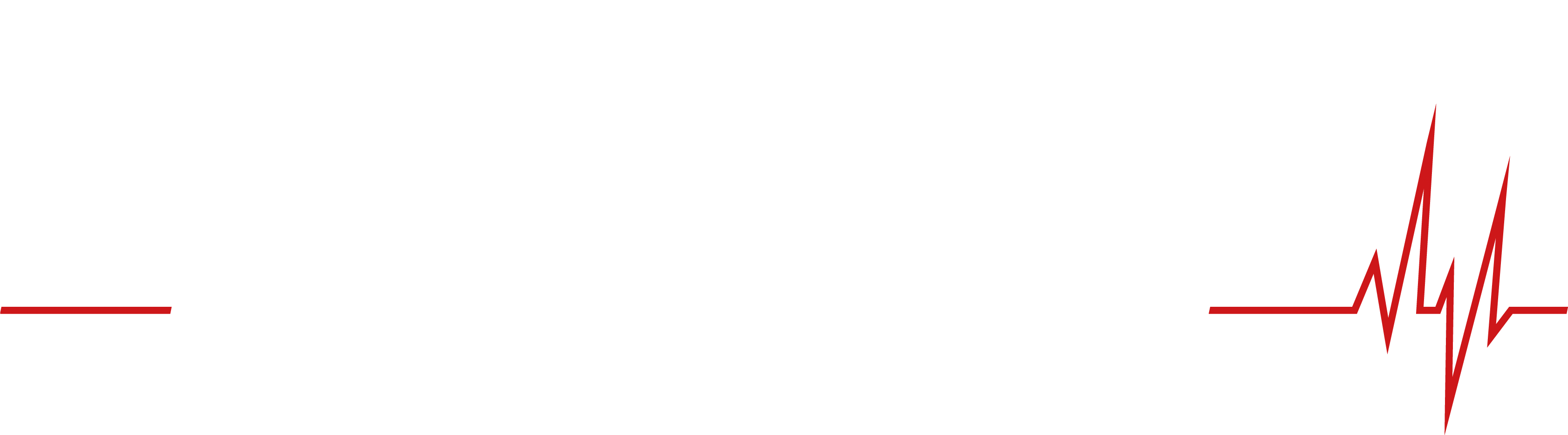 Aus, Fort und Weiterbildung › Der Dozent CL GmbH