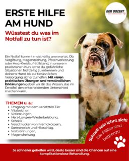 Wüsstest du, was zu tun ist, wenn dein Hund plötzlich einen Notfall hat?Ein Spaziergang, ein Ausflug an den Strand oder ein ganz normaler Tag im Garten; oft passiert es schneller, als man denkt. Eine Pfotenverletzung, eine Vergiftung, ein Insektenstich oder sogar eine Magendrehung können innerhalb weniger Minuten lebensbedrohlich werden.In genau diesen Momenten zählt nicht nur die tierärztliche Versorgung, sondern auch das, was du bis dahin für deinen Hund tun kannst.In unserem Erste-Hilfe-am-Hund-Kurs lernst du, Notfälle frühzeitig zu erkennen, richtig einzuschätzen und deinem Vierbeiner bis zur tierärztlichen Behandlung sicher zu helfen. Neben vielen praktischen Übungen vermitteln wir dir verständlich die wichtigsten Erste-Hilfe-Maßnahmen, ganz ohne Vorkenntnisse.📅 Die nächsten Kurstermine:• 12.07.2026• 12.09.2026• 22.11.2026⏰ Kursdauer: 4 Stunden (09:00–13:00 Uhr)📍 Kursort: Hamburger Str. 28, 24558 Henstedt-UlzburgInvestiere vier Stunden in Wissen, das deinem Hund eines Tages das Leben retten kann. ❤️Sichere dir jetzt deinen Platz und lerne, im Notfall ruhig und richtig zu handeln.#erstehilfeamhund #hundekurs #hundenotfall #hundegesundheit #hundebesitzer #hundewissen #hundesicherheit #tiergesundheit #derdozent #schleswigholstein