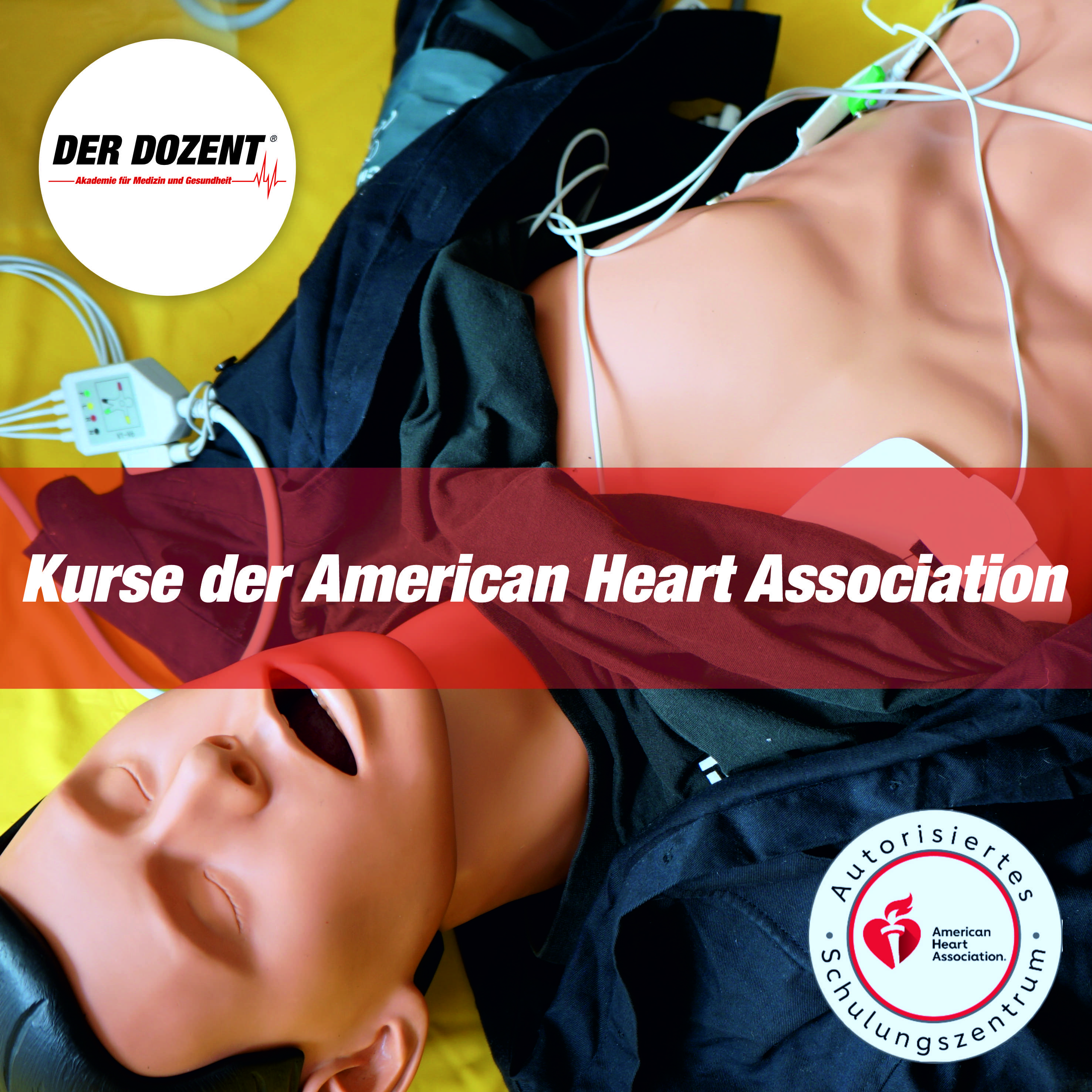 Reanimationspuppe mit Elektroden beklebt. Schriftzug "Kurse der American Heart Association". Oben links ist das Logo von Der Dozent CL GmbH. Unten rechts ist das Logo der American Heart Association